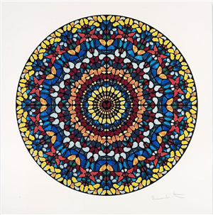 beautiful, galactic, exploding (spin) by damien hirst